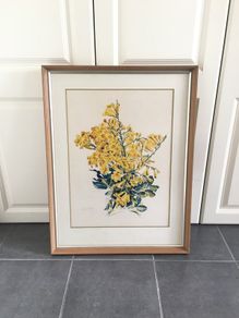 Original Watercolour by listed Stuart Armfield