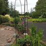 Metal decorative Garden Arch.Now Reduced Image 4