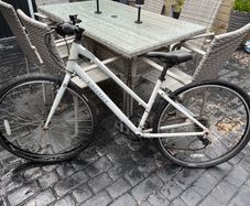 Ladies ridgeback bike