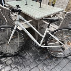 Ladies ridgeback bike