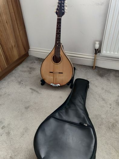 Octave Mandola and Gig Bag