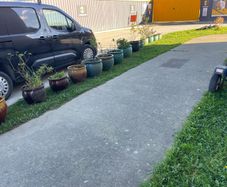 flower pots
