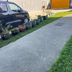 flower pots