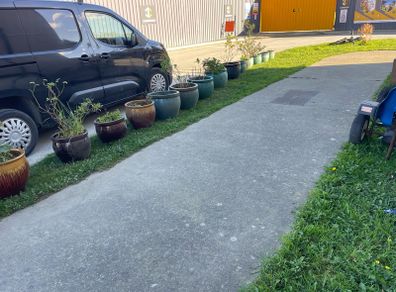 flower pots