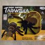 Radio Control Tarantula Spider - Children's Remote Control Toy For Those Scary Moments - Great Christmas or Birthday Present Image 7