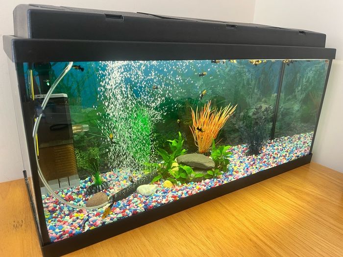 Aquarium