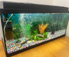 Aquarium
