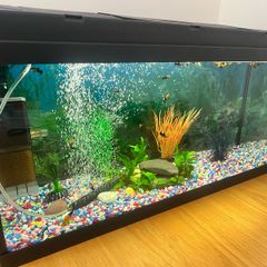 Aquarium