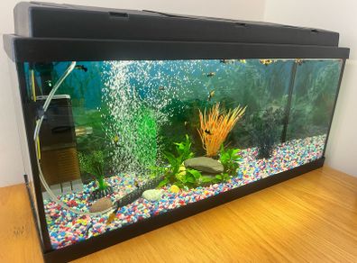 Aquarium