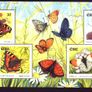 2000 Ireland Fanua & Flora - Butterflies Stamp Miniature Sheet Presentation Pack Image 2