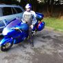 Honda Blackbird Image 3