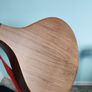 Siveen bouzouki Image 5