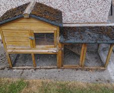 rabbit hutch
