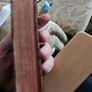 Common Prayer Church Hymnal. Dublin Association For Promoting Of Christian Knowledge.  1937 Hardback In Fair Condition.  See Photos For Same. Image 4