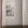 Horse Racing Encyclopedia Image 8