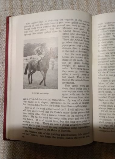 Horse Racing Encyclopedia