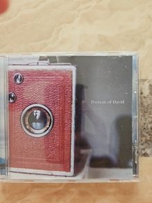 Portrait Of David CD - These Days Are Hard Enough