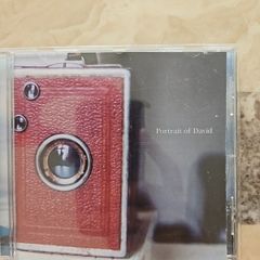 Portrait Of David CD - These Days Are Hard Enough