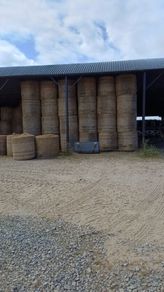 Hay