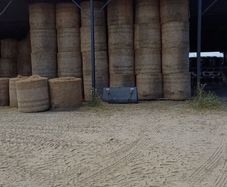 Hay