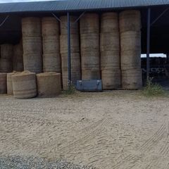 Hay