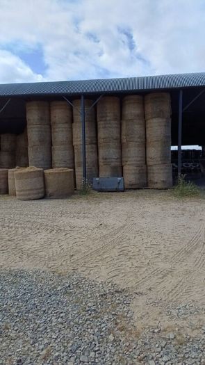 Hay