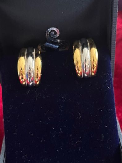 Burberry earrings