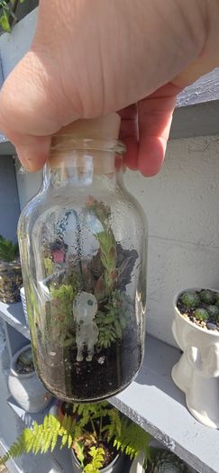 small terrarium