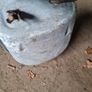 Water Trough Image 2