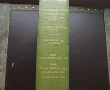 Dail Eireann Parliamentary Debates 1924. Official Report.  Volume 9