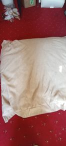 Big Bertha bean bag