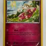 Pokemon Cards Image 5