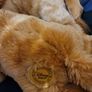 Simba & Nala Lion King Official Disney Store Product from Disneyland Paris New Image 4