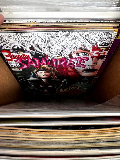 Indie Long Comic Box w 250 Comics for Sale