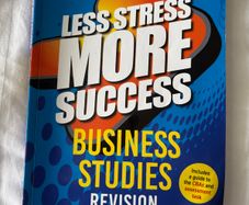 Less Stress More Success