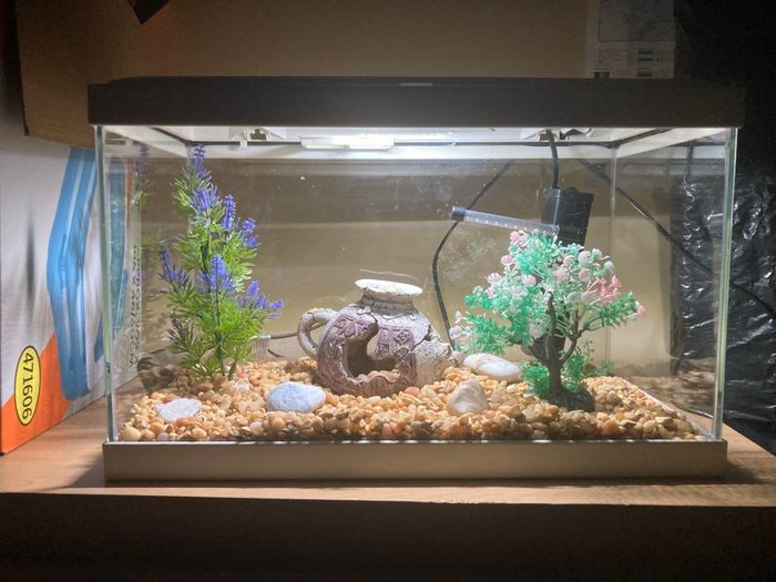 Fish tank