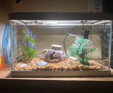 Fish tank
