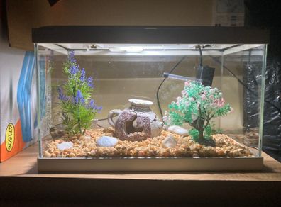Fish tank