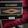 Serenellini Accordion Image 5