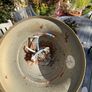Brass 10 arm Chandelier/Ceiling light Image 10