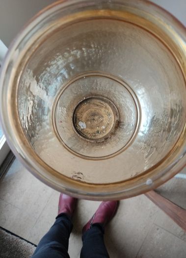 Plant /Candle Holder