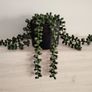 Green Artificial Trailing Plant in black pot - Next Image 2