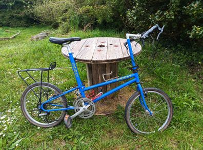 Bike Friday Folding Bike