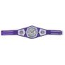 WWE Adult Cruiserweight Championship Replica Title Belt (Brand New) Image 5