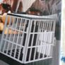 novelty phone jail. Image 2