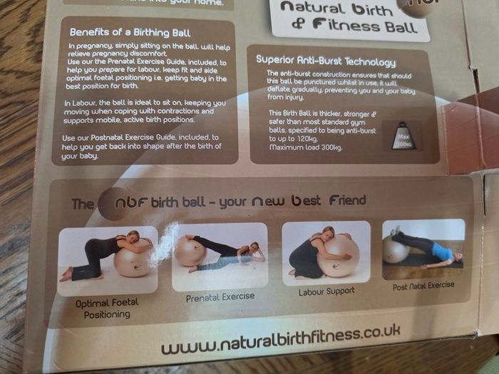 Pregnancy or fitness ball