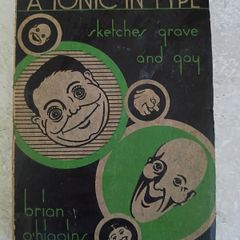 A Tonic in Type Sketches Grave and Gay by Brian O'Higgins