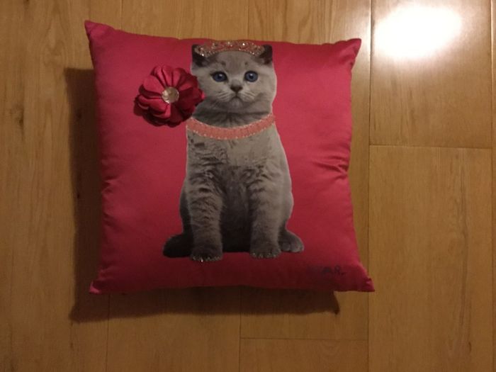 Cushions with Cat images