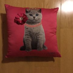 Cushions with Cat images