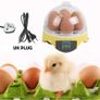 7 Eggs Hatcher Digital Egg Incubator Image 6